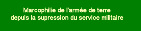 Marcophilie de l'armée de terre depuis la suppression du service militaire